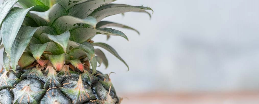 ananas gezond? lees hier de 8 voordelen (#2 is het leukst)