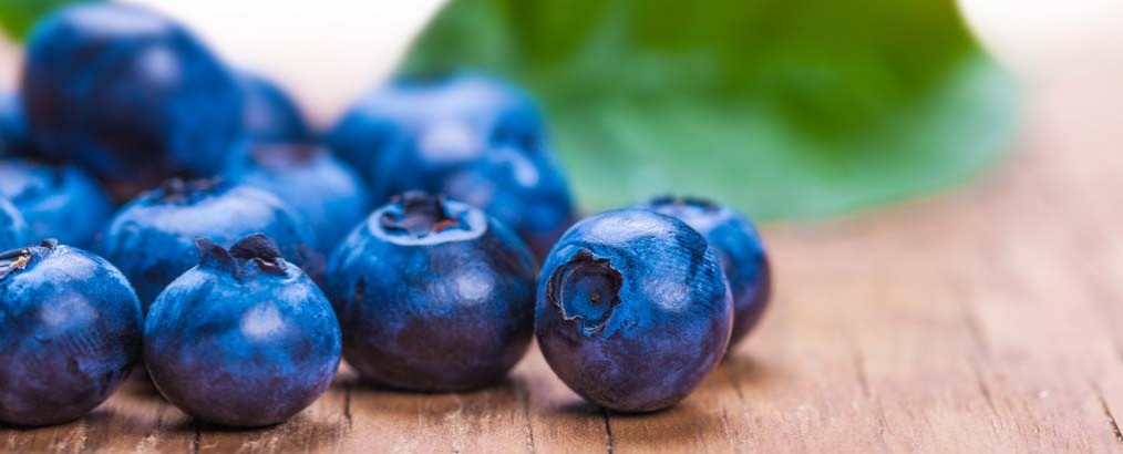 blauwe bessen en diabetes