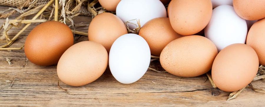 ontdek hier of eieren gezond zijn en hoeveel calorieen ei bevat