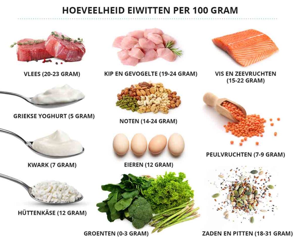 Hoeveel eiwitten per dag? Lees hier waar je op moet letten