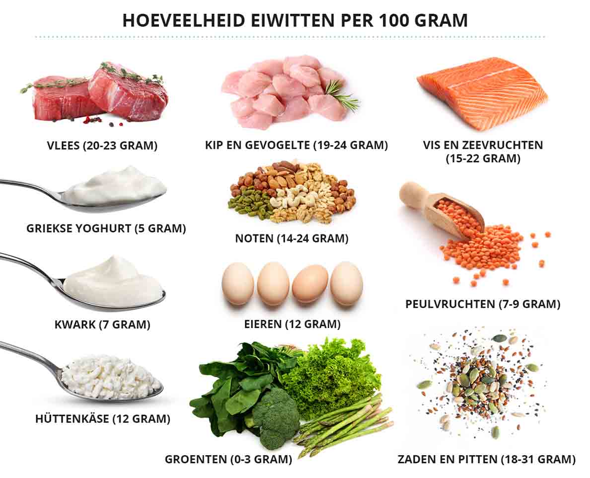 Hoeveel Eiwitten Per Dag Lees Hier Waar Je Op Moet Letten Hoeveel Eiwitten Per Dag Lees Hier Waar Je Op Moet Letten