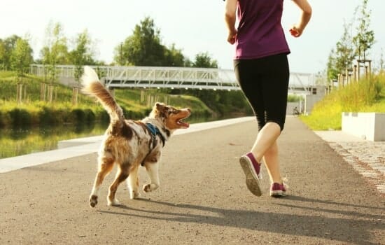 hardlopen en wandelen en joggen helpen je met stappen zetten en afvallen