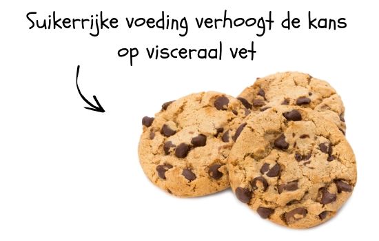 visceraal vet verlagen doe je door suikerrijke voeding te laten staan