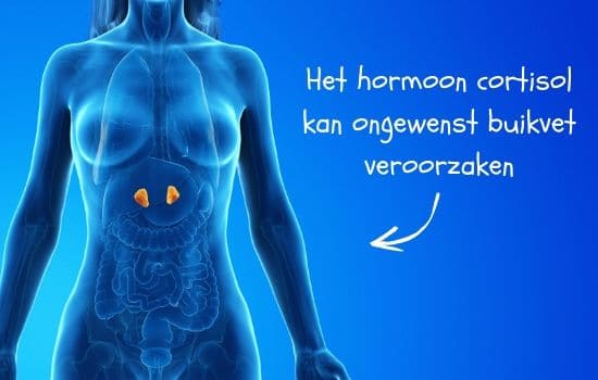 stress verminderen verlaagt cortisol waardoor 10 kilo afvallen makkelijker wordt