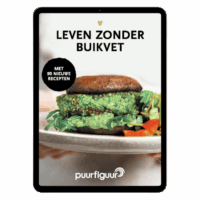 Leven Zonder Buikvet (e-boek)